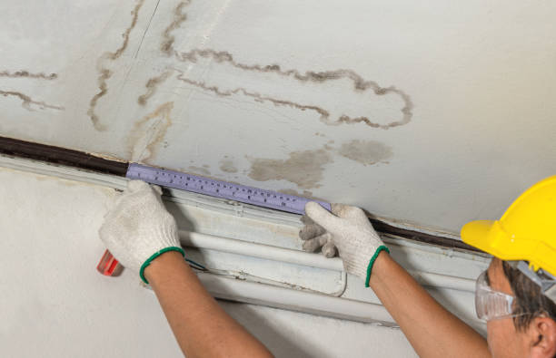 Affordable Basement Flood Cleanup solutions in Ravenna, TX